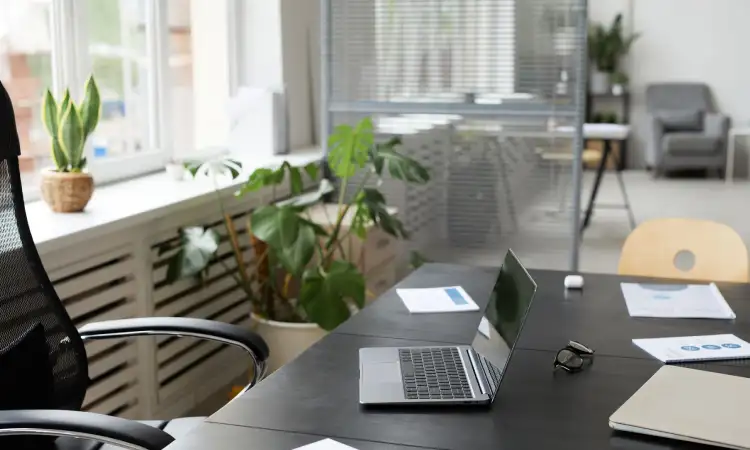 Tanaman indoor di kantor, Sumber: pexels.com